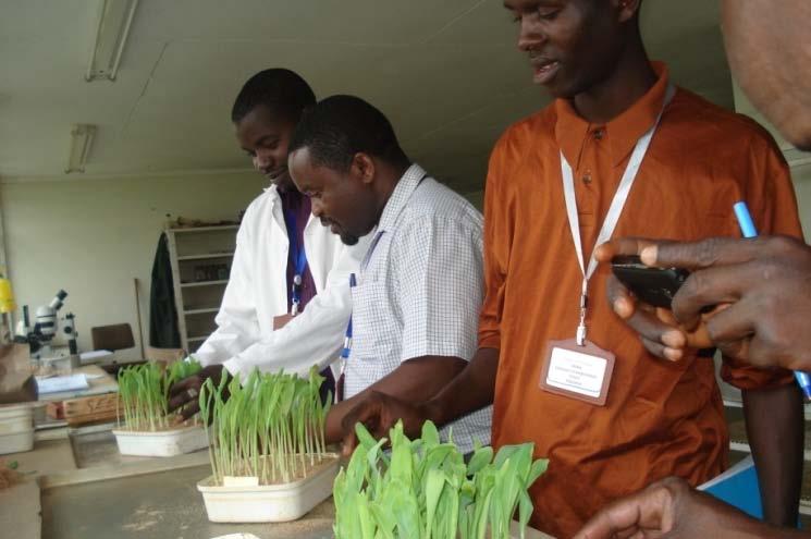 Long Term courses in Seed Technology and Business: