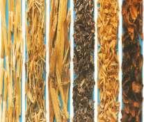 Fibre And Biocomposite Materials Natural fibres such as rice husk, kenaf, coconut coir,