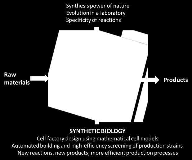 Synthetic biology a new, but extremely rapidly progressing field of research is one of the results of this development.