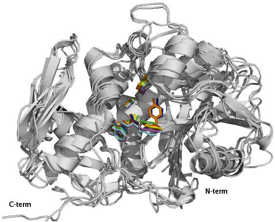 Toxins 2010, 2 2704 Figure 3. Three-dimensional structures of different Type I RIPs and ricin A chain.