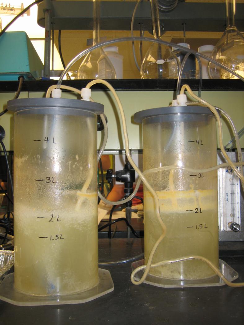 2.0 METHODS Reagents included a premixed wastewater solution and activated sludge biomass provided by the teacher s assistant. Approximately 0.7 liters of activated sludge biomass and 1.