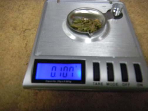 Step 5: Weigh approximately 100milligrams of cannabis into the little weighing dish.