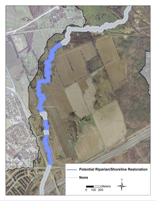 Page Page 108 Potential Riparian Restoration Opportunities Naturally vegetated shorelines