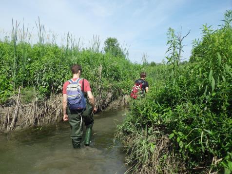 Eagleson Road. This assessment focusses on a section of the creek extending from Eagleson Road to the point where Kizell drain enters the creek.