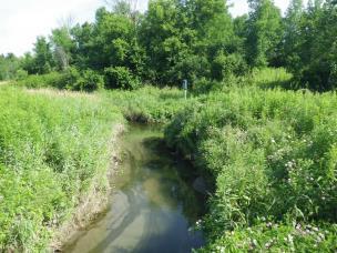 Environment Canada s Guideline: How Much Habitat is Enough? recommends a minimum 30 m wide vegetated buffer along at least 75% of the length of both sides of a watercourse.