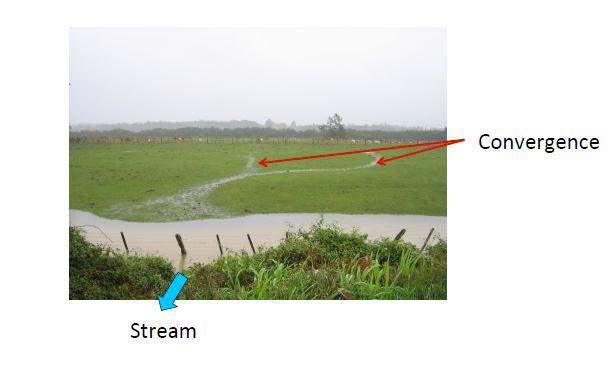 Waterways Establish riparian filter/buffer strips in areas where water