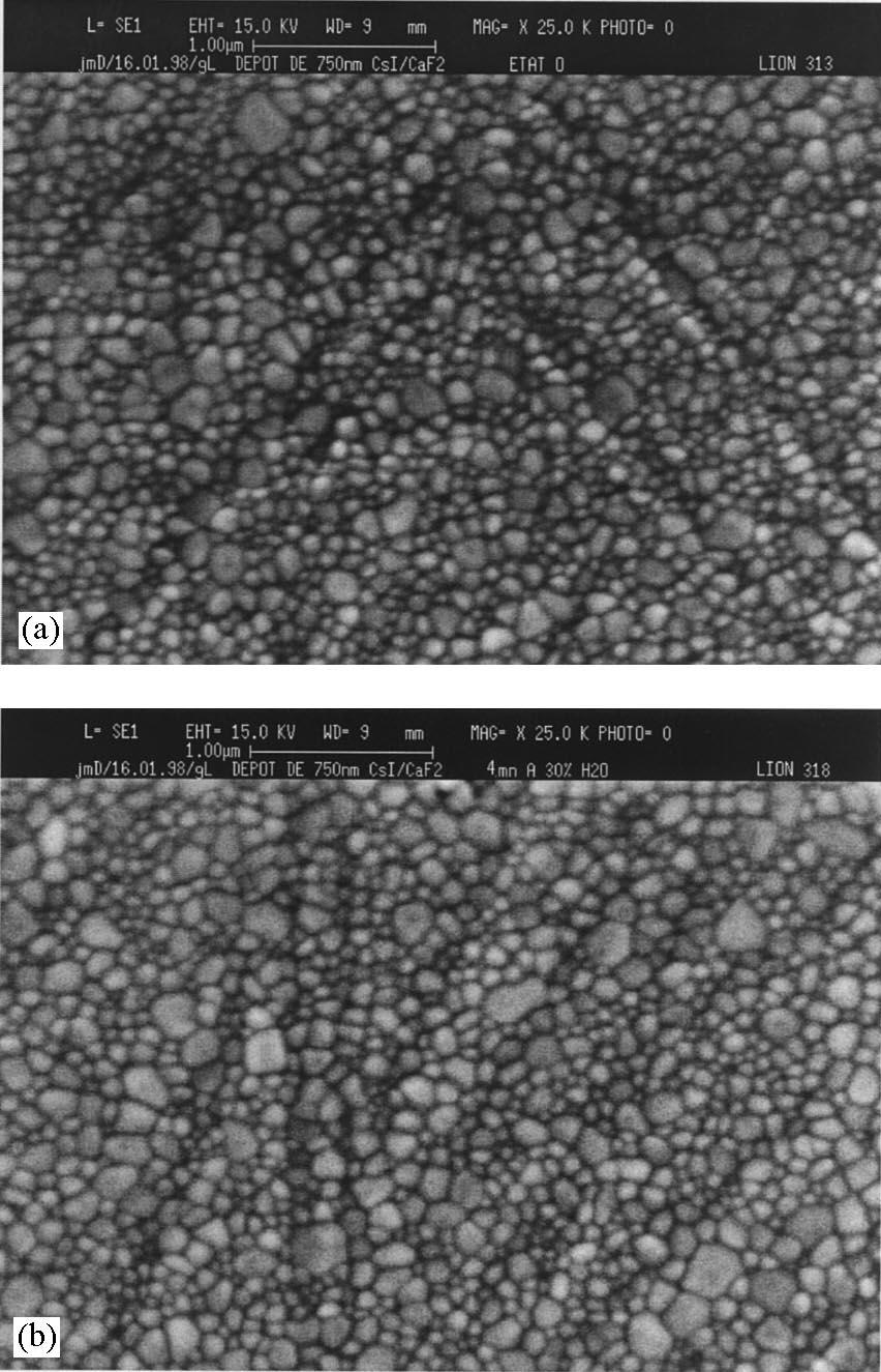 410 T. Boutboul et al. / Nuclear Instruments and Methods in Physics Research A 438 (1999) 409}414 the obtained layers exhibited a quite similar morphology of dissiminated crystallites.