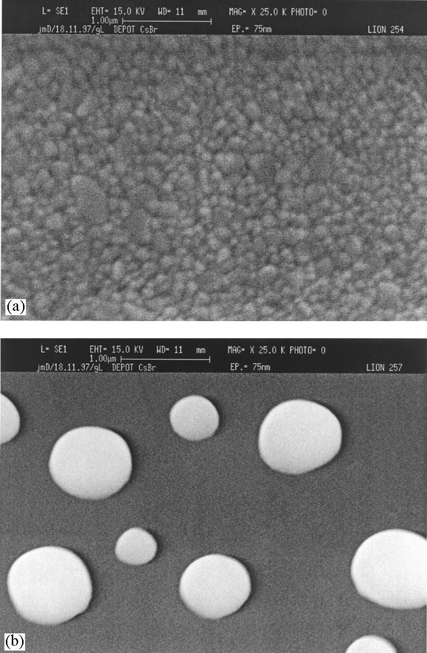 T. Boutboul et al. / Nuclear Instruments and Methods in Physics Research A 438 (1999) 409}414 411 substrates. The samples were then transferred to the SEM, as described above. As can be seen in Figs.
