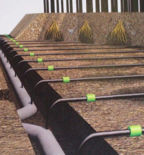 NEW FRONTEERS IN CA SUBIRRIGATION Max irrigation efficiency (up to 90%) due to low evaporation, no runoff, reduced leaching; Incrase in yield: due to the possibility of late fertilization of maize;