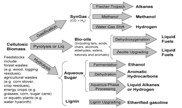biocrack - Concept Typical pathways from lignocellulosis to