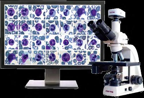 documentation of your work Automated scanning and identification of blood cells (WBC, RBC, PLT) Pre-classification and validation Application for educational purposes 1 Manual capture of the