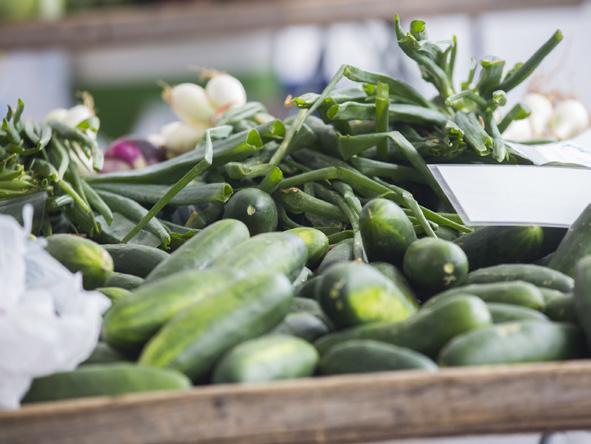 The $8 million in SNAP and incentives redeemed at FINIsupported farmers markets represents at least $14.3 million in economic activity for those communities.