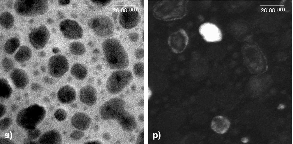 1626 G. Dercz et al. Fig. 1. X-ray diffraction patterns of precursor material mixture milled for 1 and 10 h. Fig. 2. TEM images of the sample milled for 10 h: (a) bright field, (b) dark field.