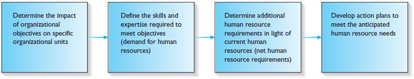 Steps in Human Resource