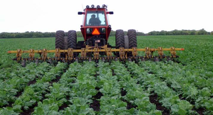 Mechanical Weed Control Reduction Row Crop