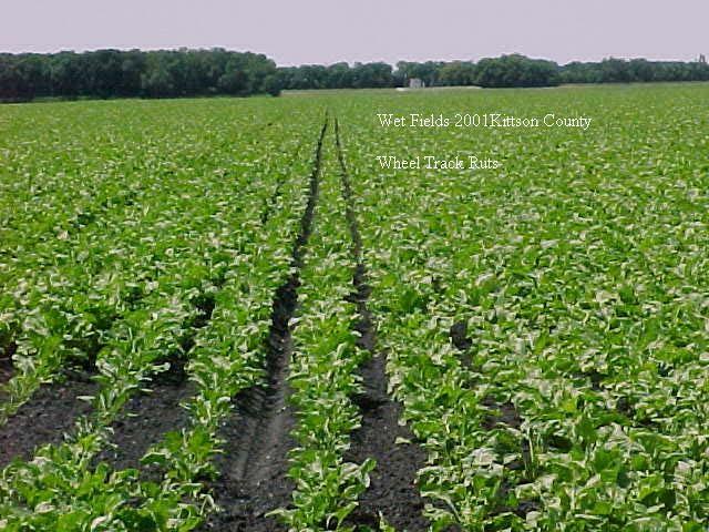 7X per acre Reduced by 50% or more Savings of