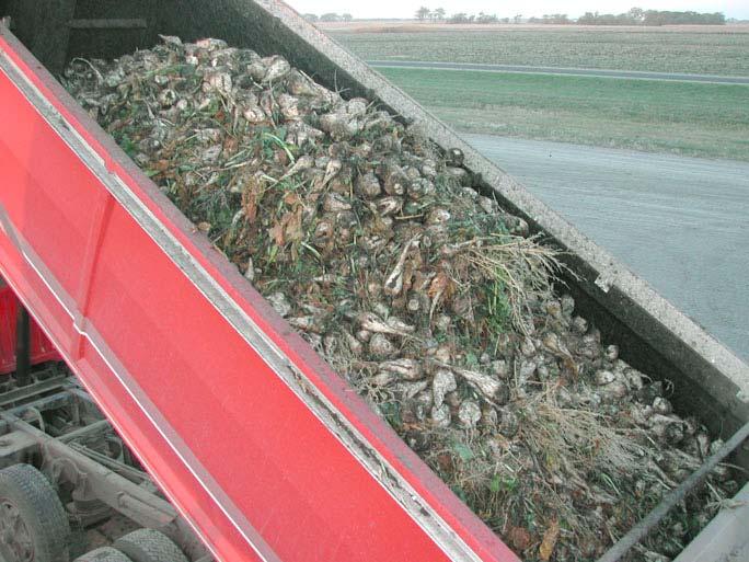 Harvest and Storage Fewer harvester repairs Less harvest loss