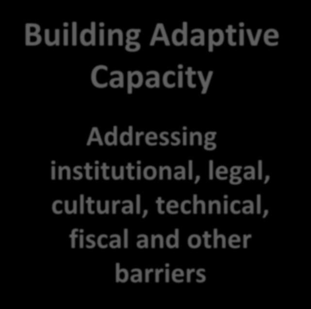 Two-Pronged Approach: Building Capacity and Delivering Action Building Adaptive