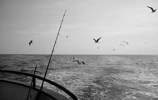 - 11 - Task 3 Sea fishing competition There are 25 marks available for this task. You should check all your work as you go along. Introduction This task is about a sea fishing competition.