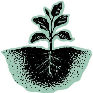 Plant Uptake Defini=on: The process of plants absorbing water and nutrients from roots in order to grow.