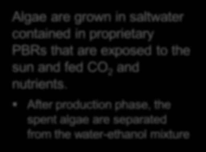 make ethanol and biomass directly from CO 2, water, and