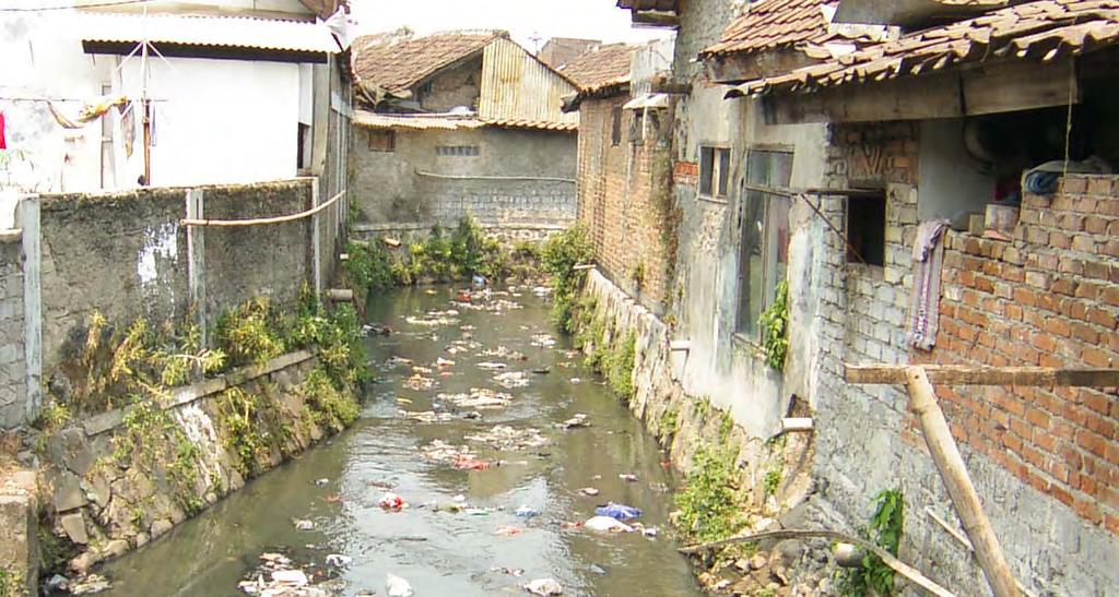 Sanitation Issues in Asia Distribution of the global population not served with improved sanitation (WHO, 2001) 13% 5% 2% Asia Africa Latin America