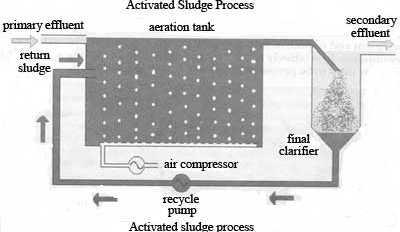 Activated Sludge Process ( ASP ) Primary wastewater mixed with bacteria-rich (activated) sludge and air or oxygen is pumped into the mixture Promotes bacterial growth and decomposition of organic