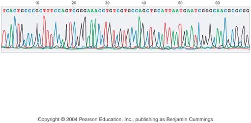 interested DNA is inserted into the recombinant plasmid. 2.