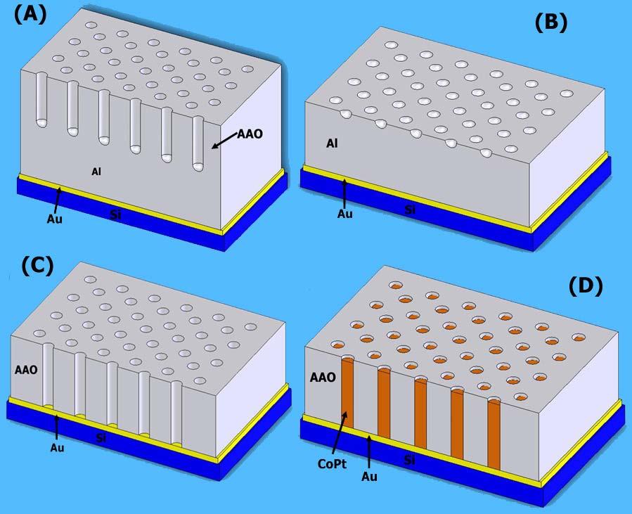 90 of the porous layer as the rapid evolution of gas bubbles results in localized and then widespread rupturing and delamination of the AAO layer.