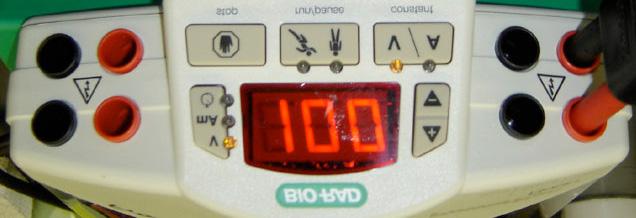 Bio-Rad PowerPac Basic Power Supply A C E D B To use: 1. Plug in gel box leads, matching red to red and black to black. 2. Turn power on using the switch on the right side of the unit.