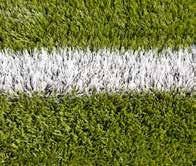 An organisation s (sport club, association, local or state government) decision whether to have a natural grass or synthetic turf sports ground comes down to their specific