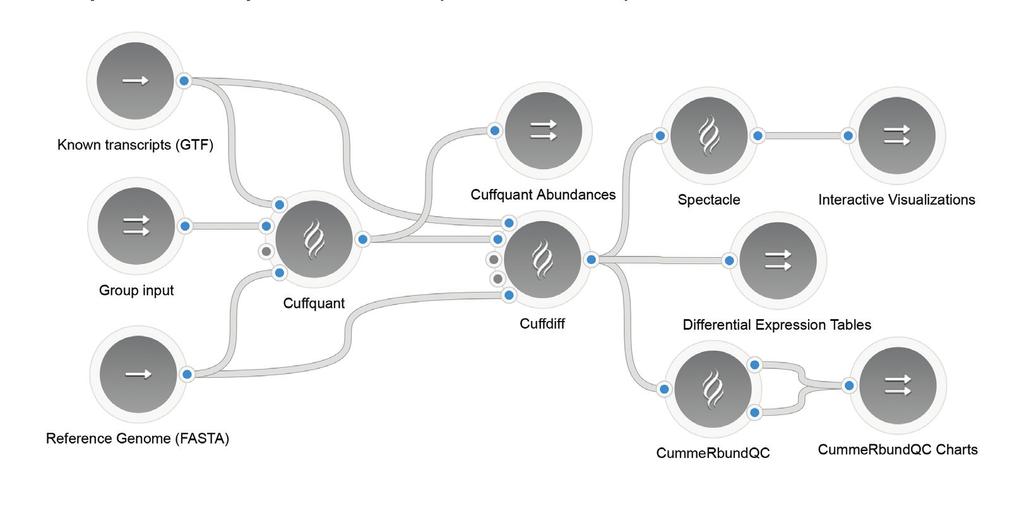 Seven Bridges Pipelines are ready-to-run bioinformatics workflows. In the following case studies, we outline two pipelines scientists commonly use in the course of RNA-Seq experiments.