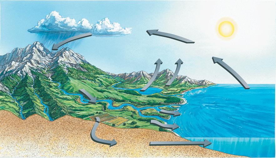 cycle water cycle evapotranspiration carbon cycle.