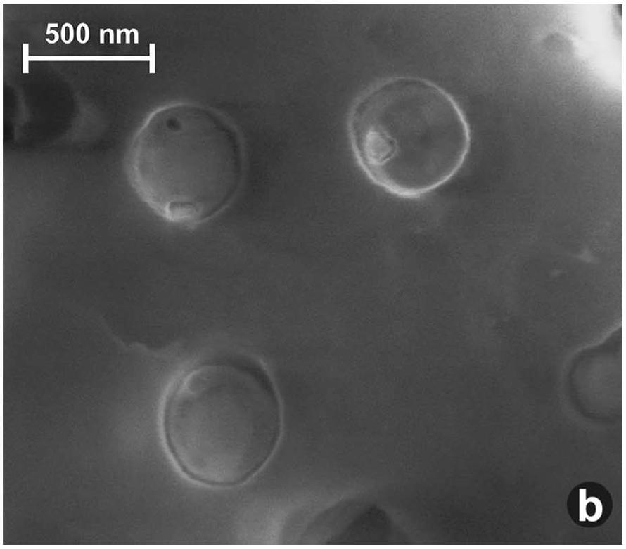 16S rrna study of coal water and methanogenic enrichment: dominant methanogen - CO 2 /H 2 utilizing Methanocorpusculum SEM image of