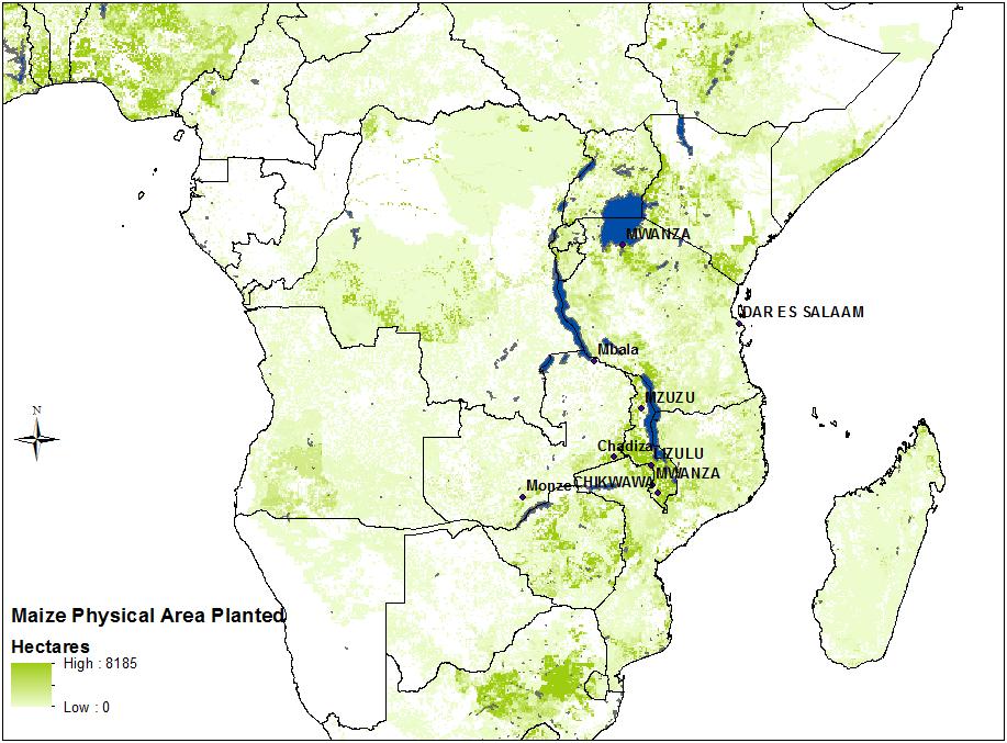 Figure 5: Maize producing areas in East and Southern