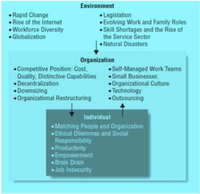 Basic Concepts Human Resource: People who work in an organization. Also called personnel.