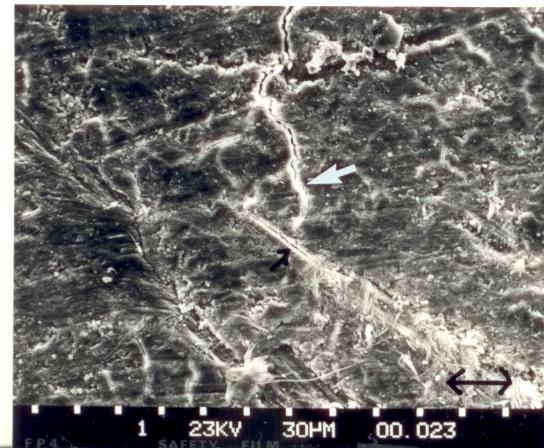 Very fine cracks, less than 1 / um in width, were also found to occur randomly throughout the stressed surface. These appeared to propagate in all directions.