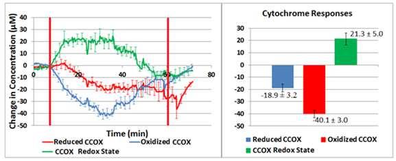Figure 3.5 Average CCOX responses in subjects who were able to complete each of the Tilt Table Tests.