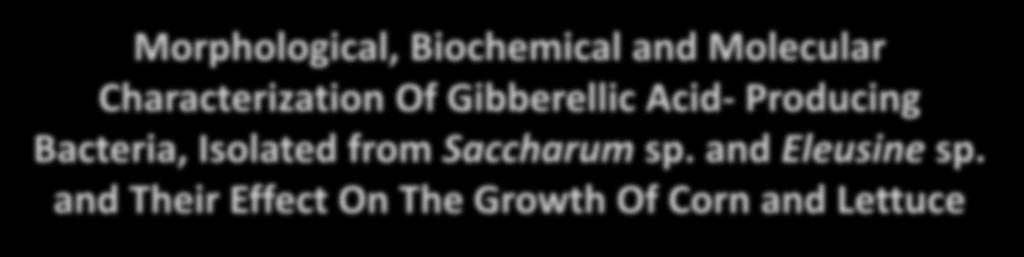 Morphological, Biochemical and Molecular Characterization Of Gibberellic Acid- Producing Bacteria, Isolated from Saccharum sp. and Eleusine sp.