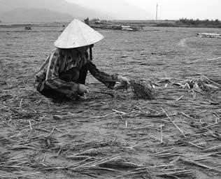Poverty and climate change in Viet Nam Viet Nam has an admirable history of coping with natural disasters and reducing their effects, but the economic and human costs can still be huge.
