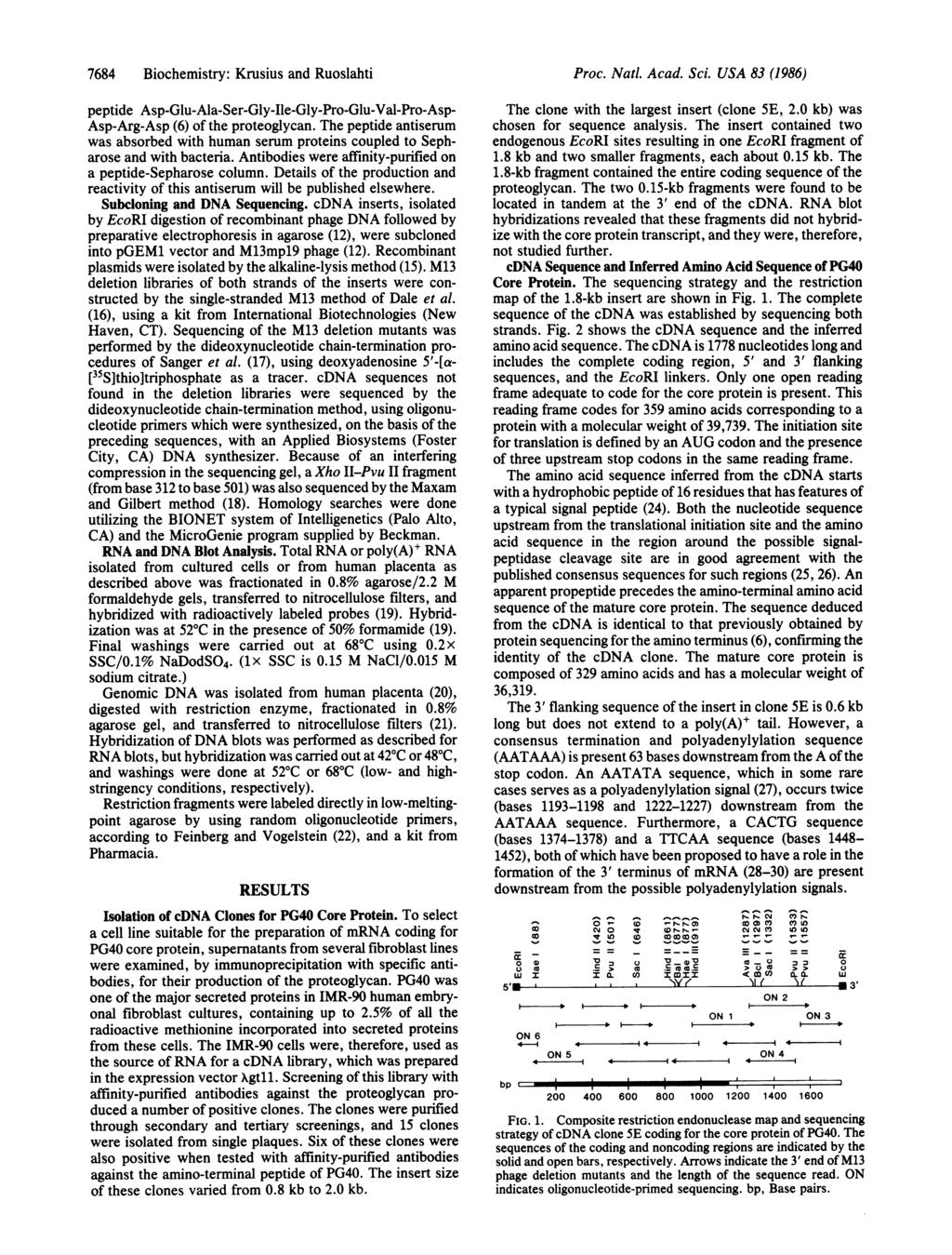 7684 Biochemistry: Krusius and Ruoslahti peptide Asp-Glu-Ala-Ser-Gly-Ile-Gly-Pro-Glu-Val-Pro-Asp- Asp-Arg-Asp (6) of the proteoglycan.