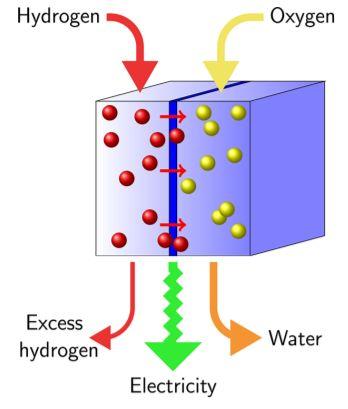 Use in Fuel Cells Fuel cells require large amounts of hydrogen, which is difficult to transport No extensive infrastructure exists Tanks would be large and bulky Steam reformation/wgs could