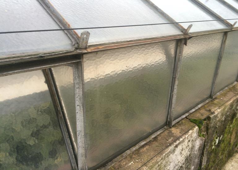 Figure 3.5. A greenhouse in France glazed with textured glass to achieve diffusion.