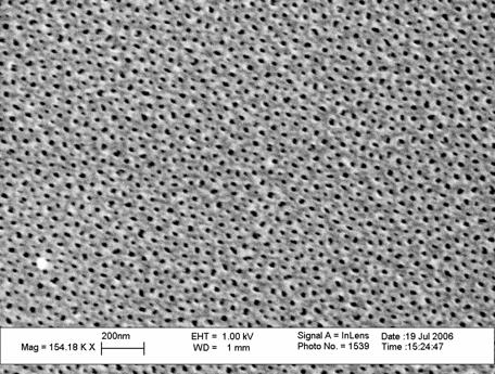 The surface and topography of the pores were respectively analyzed (LEO 1500 Scanning Electron Microscopy (SEM) and the Nanoscope III Atomic Force Microscopy (AFM)).