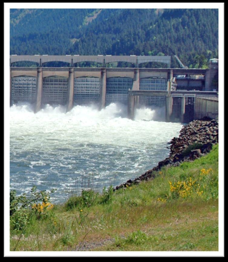 The Value of Hydropower to