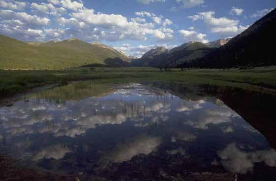 Consequences of Nitrogen Deposition to Rocky Mountain National Park Jill S.