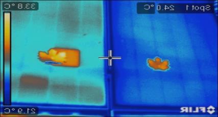 Conventional Maxim Leaf Thermal