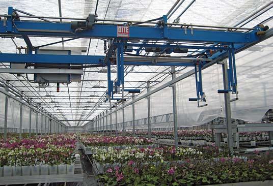 Hinged sections provide access to the plants from all sides in all the work area. Various units (crane systems, washing machines, transport units, etc.) and programmes (potting, spacing, sorting, etc.