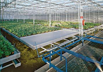 Mobile bench systems create a commercially rational foundation, especially for large quantities of the same plant variety. Constant growing conditions guarantee a high throughput with high quality.