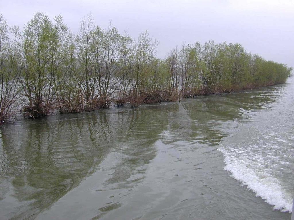 Danube near Regensburg Monitoring program